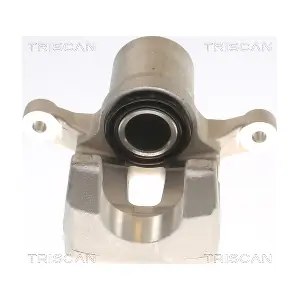 TRISCAN 8175 43212