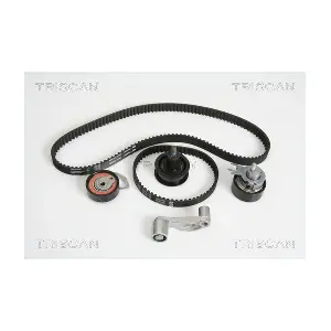 8647 29036 TRISCAN