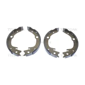 TRISCAN 810013039