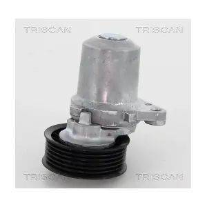 TRISCAN 8641 503003