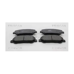8110 13101 TRISCAN