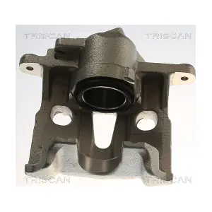 TRISCAN 817529161