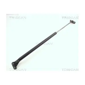 TRISCAN 8710 10202