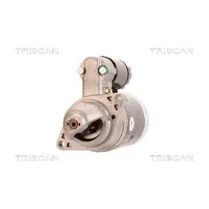 TRISCAN 8305 11024