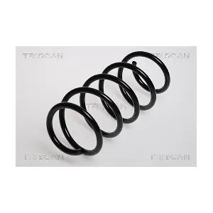 875024031 TRISCAN