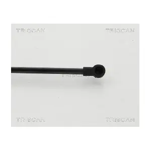 8710 24254 TRISCAN