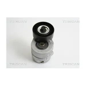8641 163015 TRISCAN