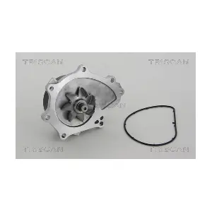 TRISCAN 860013037