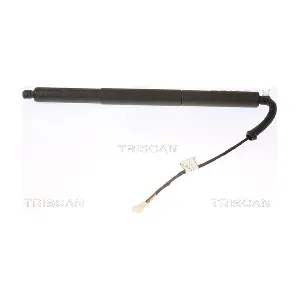 8710 11308 TRISCAN