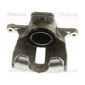 TRISCAN 8175 16123