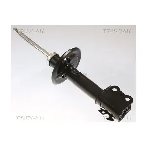TRISCAN 870513107