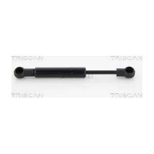 8710 15246 TRISCAN