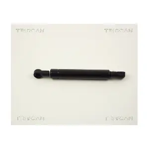 8710 2307 TRISCAN