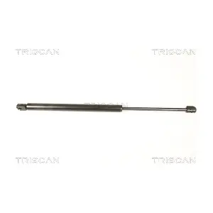 8710 50247 TRISCAN