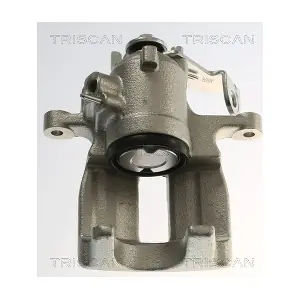 8175 29246 TRISCAN