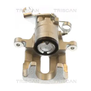 TRISCAN 8175 42213
