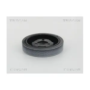 864310015 TRISCAN