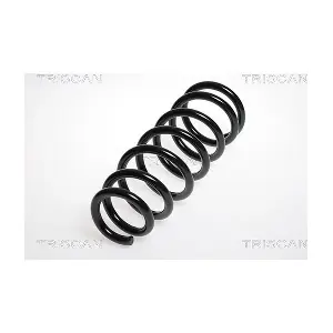 8750 13116 TRISCAN