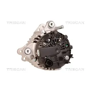 TRISCAN 8310 24010