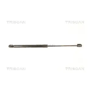 8710 43102 TRISCAN