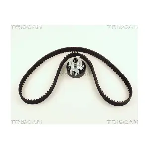 TRISCAN 8647 29019