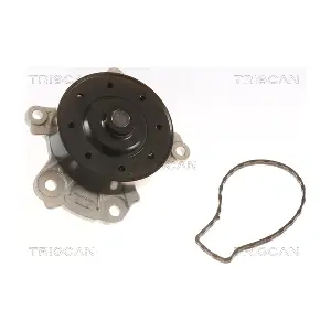 860013039 TRISCAN