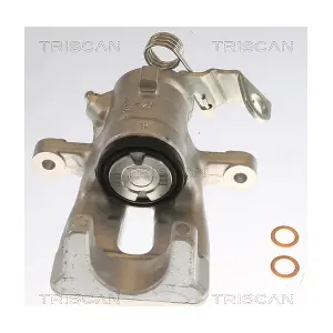 TRISCAN 8175 24202