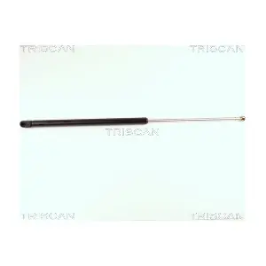 TRISCAN 8710 16213
