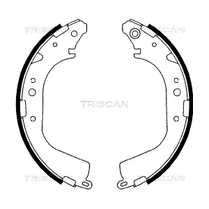 TRISCAN 810010425