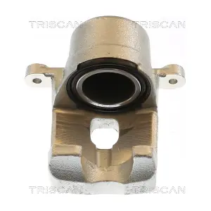 8175 13119 TRISCAN