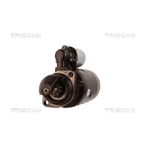 TRISCAN 8305 29040