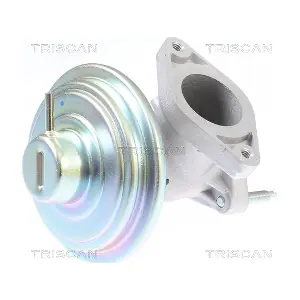 881316213 TRISCAN