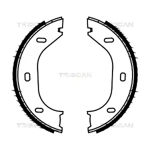 TRISCAN 810010290