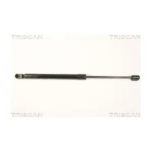 8710 43231 TRISCAN