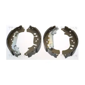 TRISCAN 8100 10012