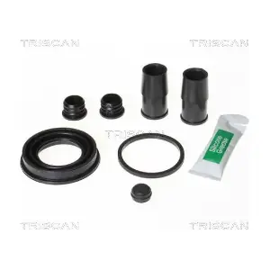 8170204224 TRISCAN