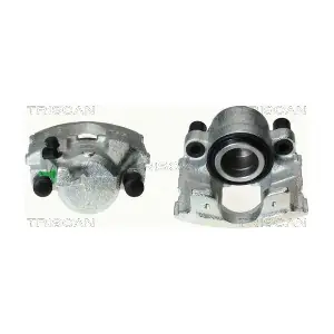 TRISCAN 8170341900