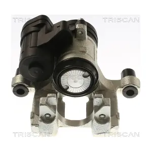 8175 292009 TRISCAN