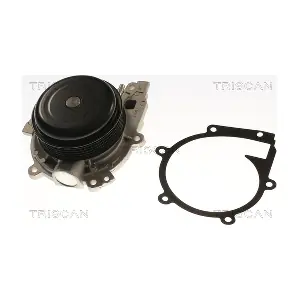 860023102 TRISCAN