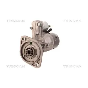 8305 10043 TRISCAN