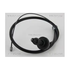 10562 TRISCAN