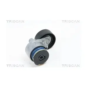 8641 103013 TRISCAN