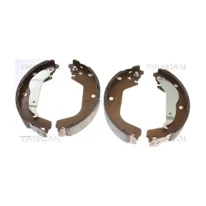 810021002 TRISCAN