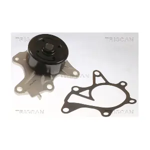 860013056 TRISCAN