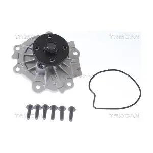 860027110 TRISCAN