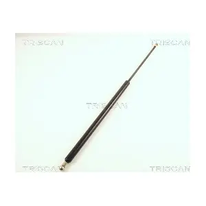 8710 38209 TRISCAN