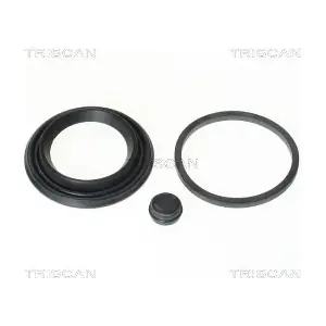 8170 204802 TRISCAN