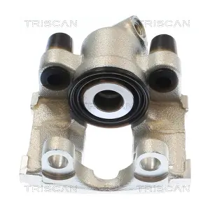 8175 11219 TRISCAN