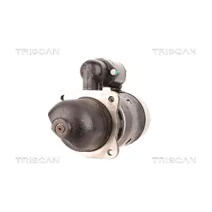 TRISCAN 8305 29033