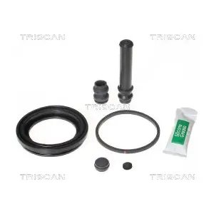 8170 206009 TRISCAN
